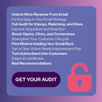 Email Strategy Audit
